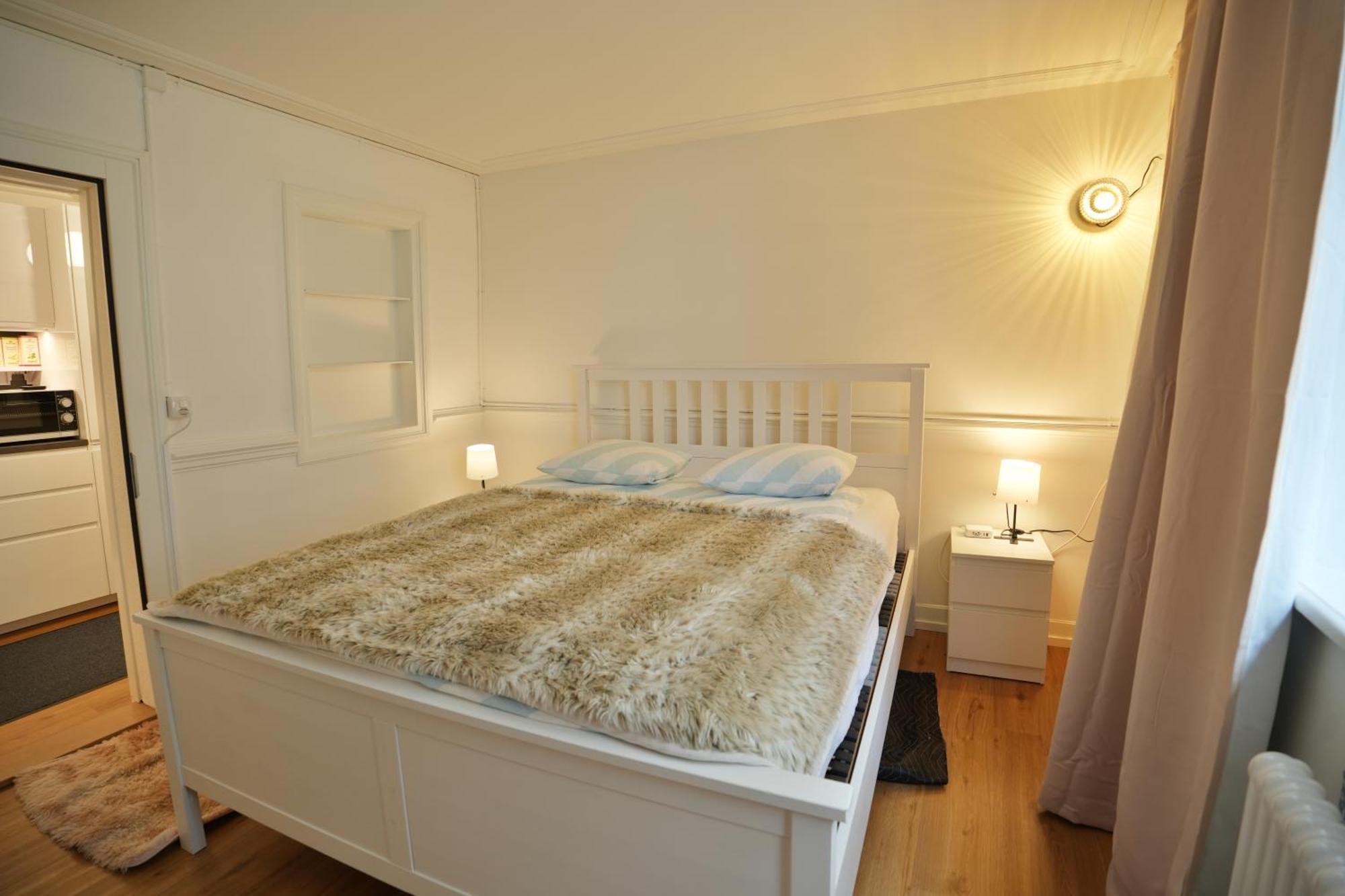 Cozy City Center, 4 Bedroom- 120Sq, 5Min Walk To Main Station Bázel Kültér fotó